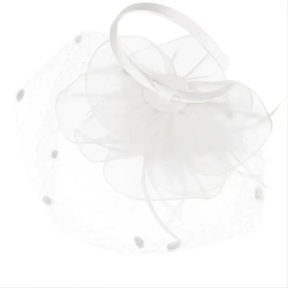 Birdcage Wedding Veil Fascinator With Feather Accent With Headband and Hair Clip